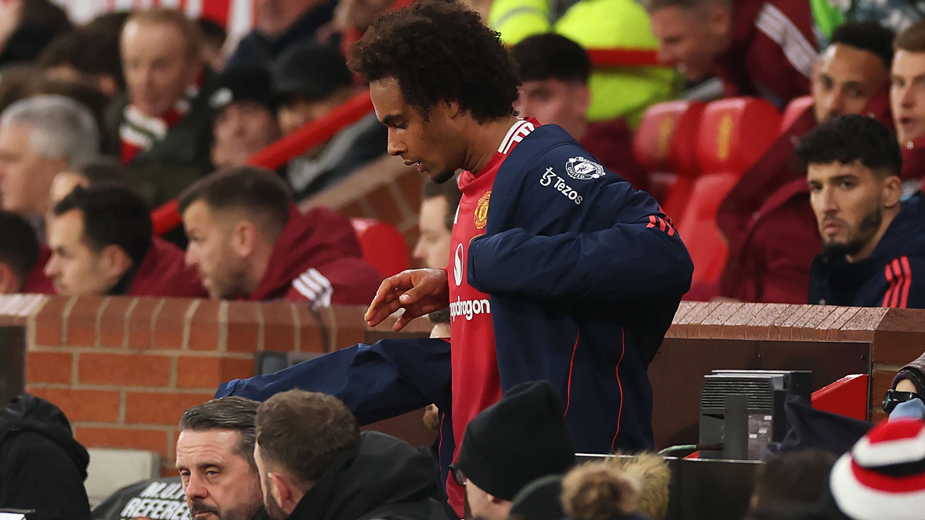 坑的新球迷 坑的新球迷